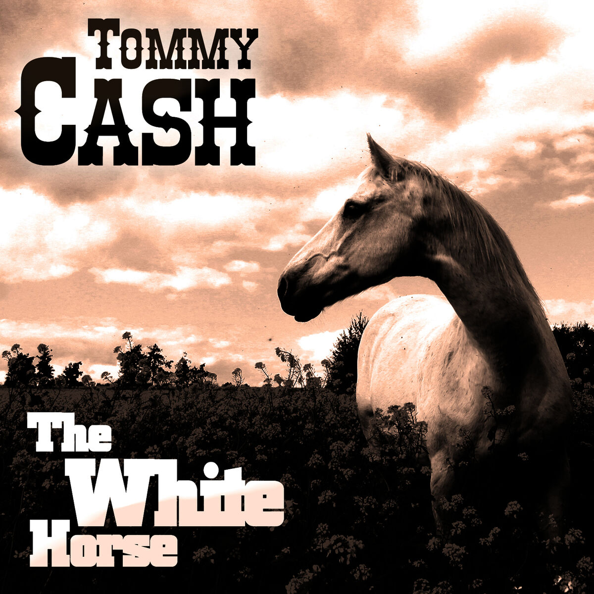 Tommy Cash